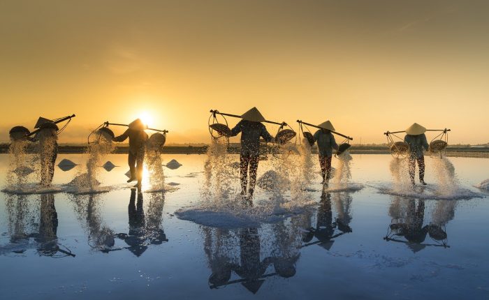 Sandberg resor vietnam