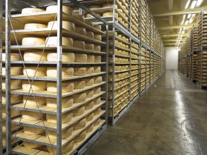 Västerbottensost Ånäset lager Västerbotten