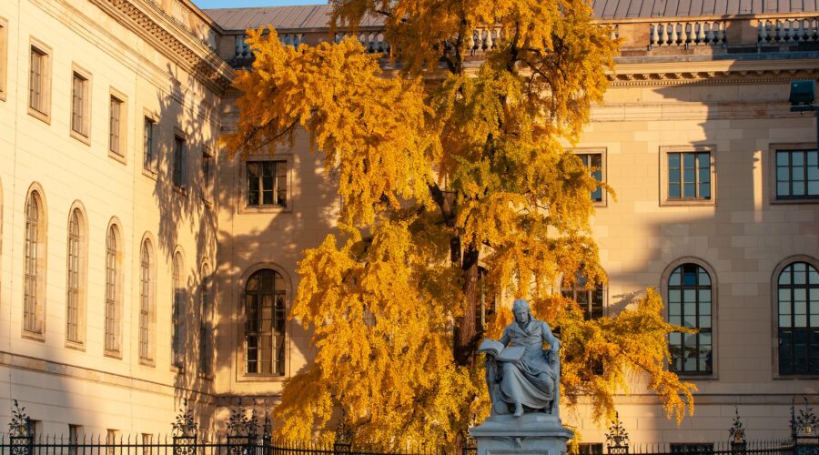 Humboldtuniversitetet fasad Berlin Tyskland Humboldtuniversitetet fasad Berlin Tyskland