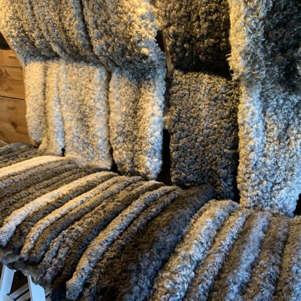 Sandbergs Resor Historia & Kultur