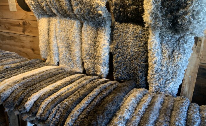 Sandbergs Resor Historia & Kultur