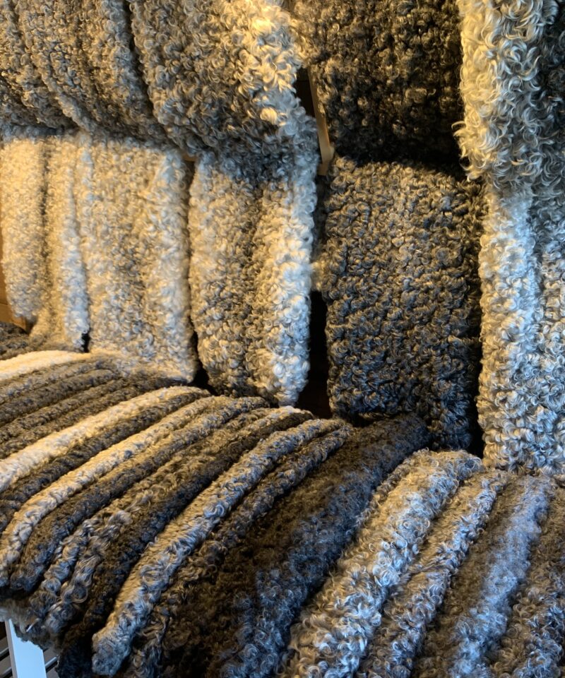 Sandbergs Resor Historia & Kultur