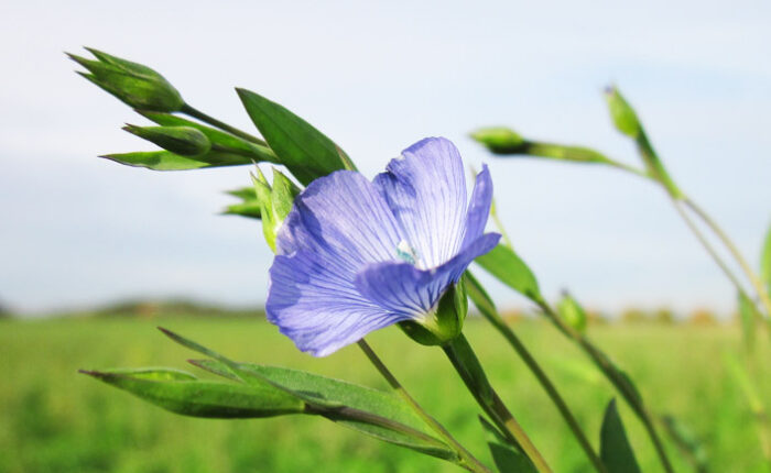 Sandbergs Resor Historia & Kultur