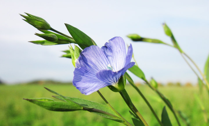 Sandbergs Resor Historia & Kultur
