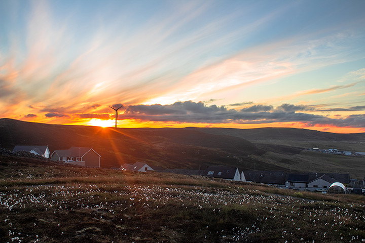 shetland